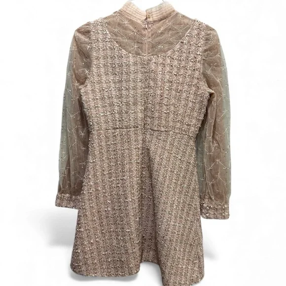 XiuFuShi Blush Tweed Dress Sheer Embroidered Overlay Fully Lined - Picture 4 of 7